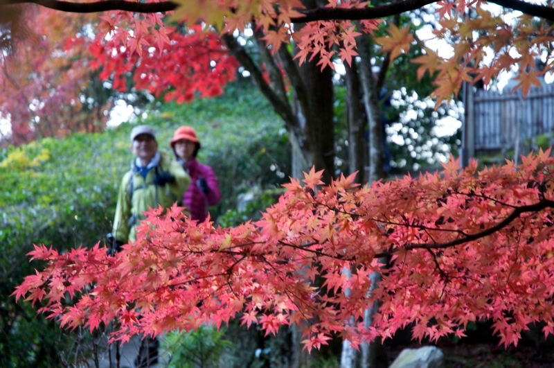 mitaki wanderweg