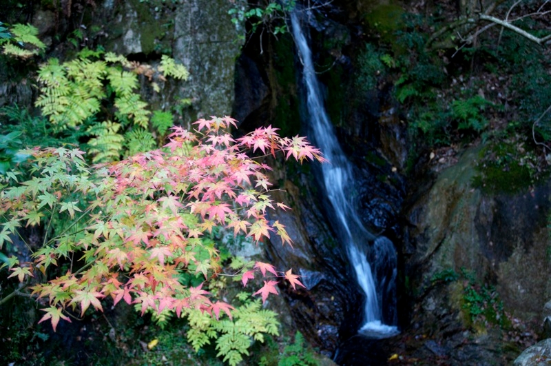 mitaki wasserfall