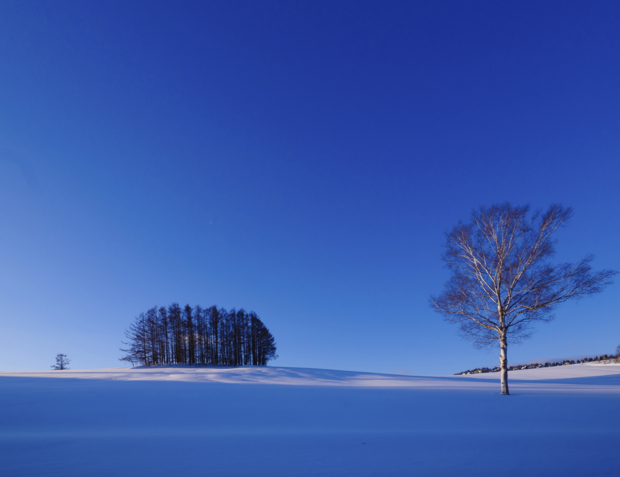 schneelandschaft japan