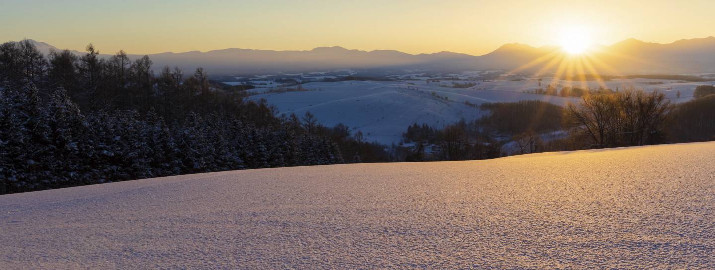 schneelandschaft