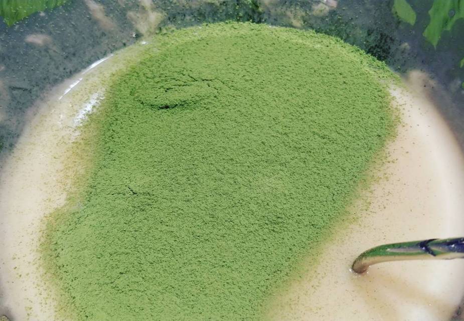 matcha schokolade