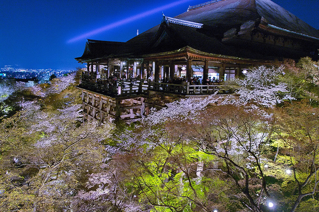 Abendliche Kirschblütenbeleuchtung um den Kiyomizu-dera