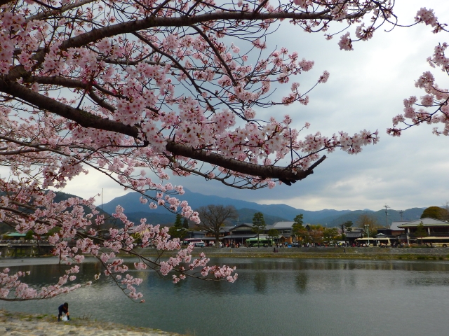 Arashiyama während der Kirschblütensaison