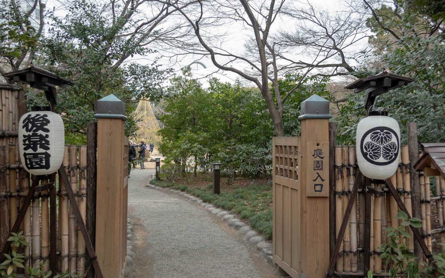 pflaumenblüte koishikawa korakuen