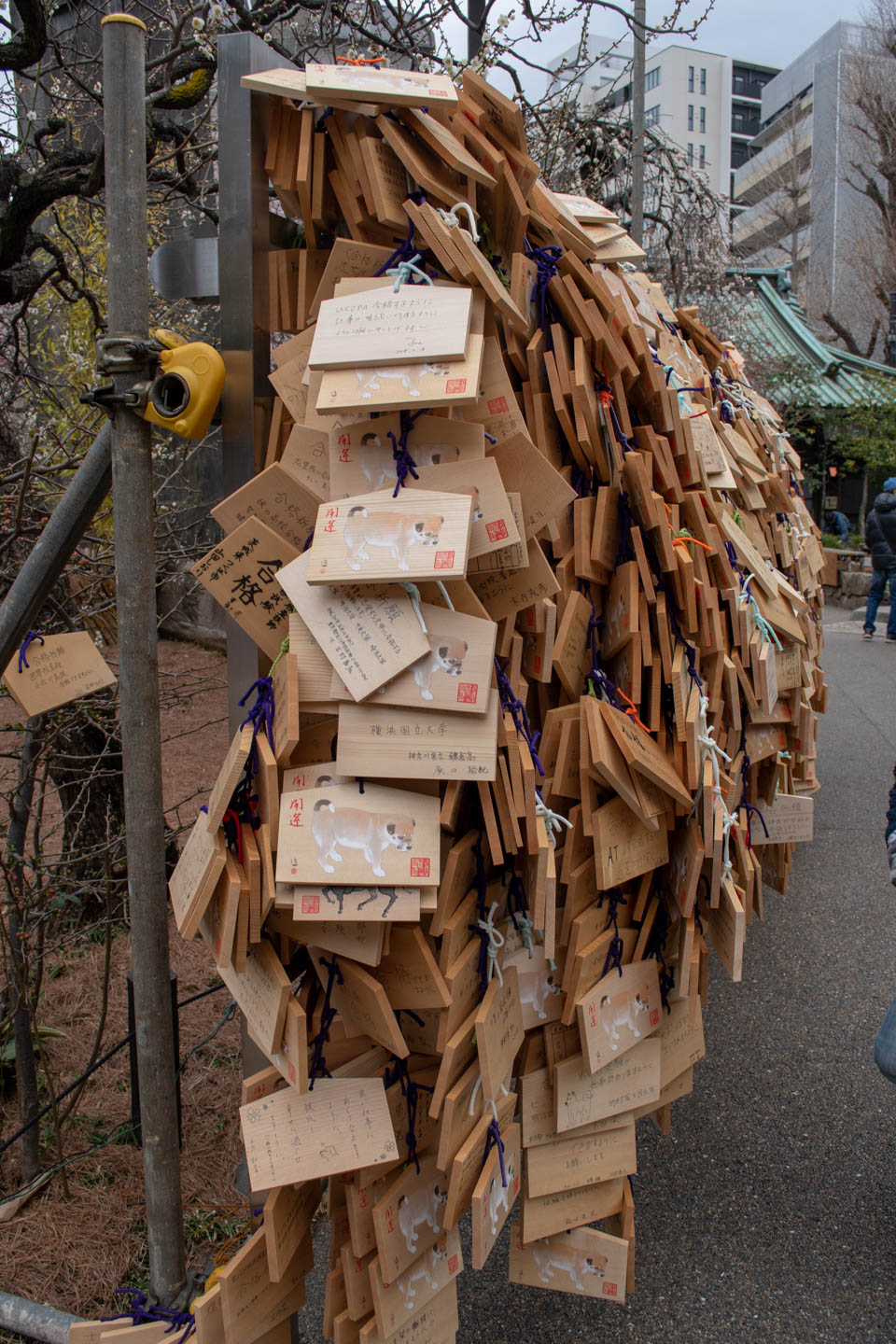 pflaumenblüten yushima tenjin