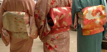 Nahaufnahme von drei Obi an Frauen im Kimono.