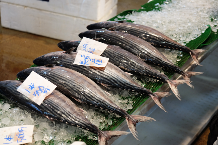 Frischer Fisch auf dem Nagahama Fischmarkt