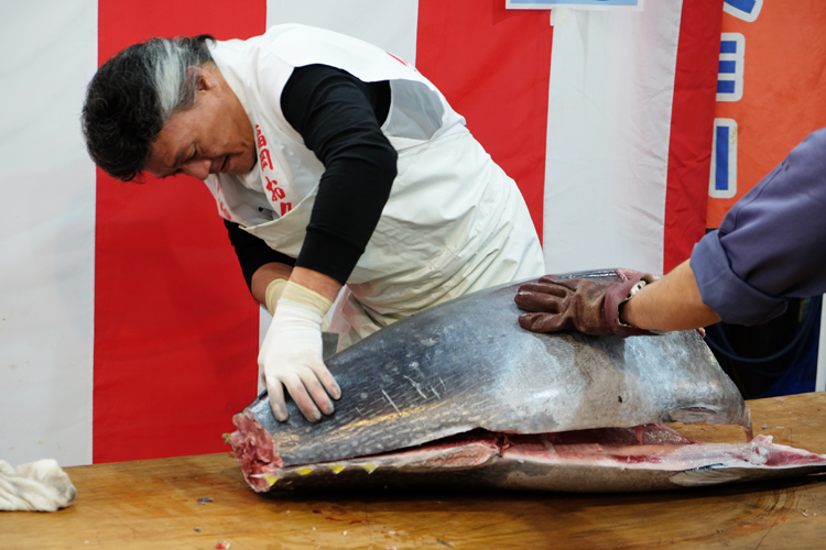 Thunfisch Zerlegung auf dem Nagahama Fischmarkt