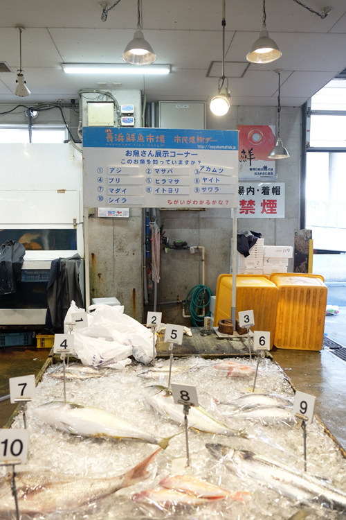 Gekühlter Fisch am Nagahama Fischmarkt