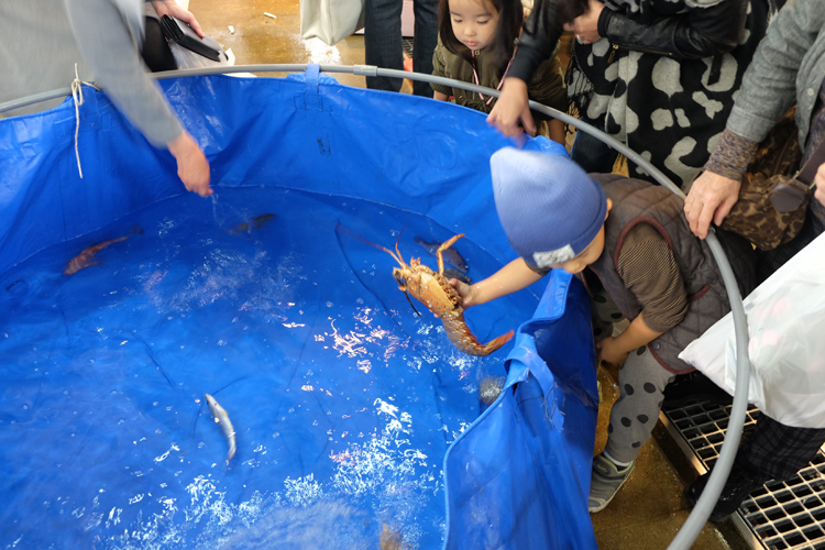 Planschbecken mit lebenden Fischen zum Anfassen am Nagahama Fischmarkt