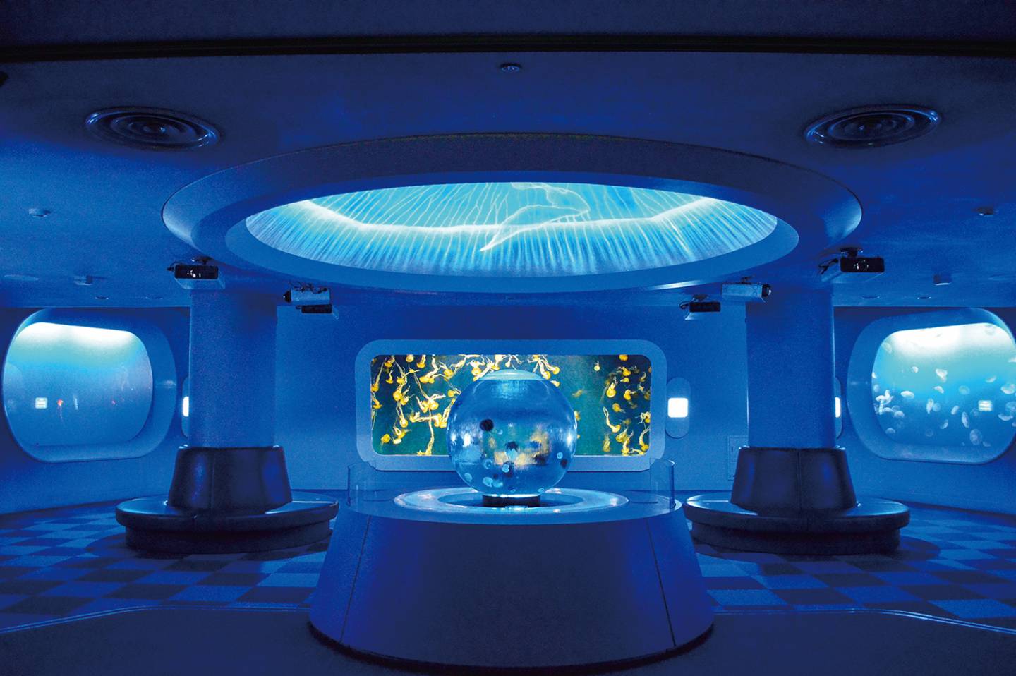 Aquarium mit Fischtanks