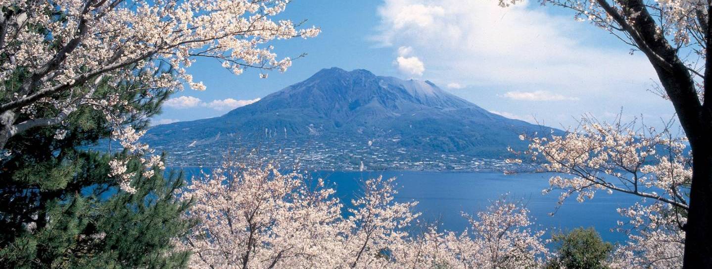 Der Vulkan Sakurajima in der Bucht vor Kagoshima.