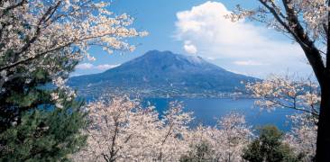 Der Vulkan Sakurajima in der Bucht vor Kagoshima.