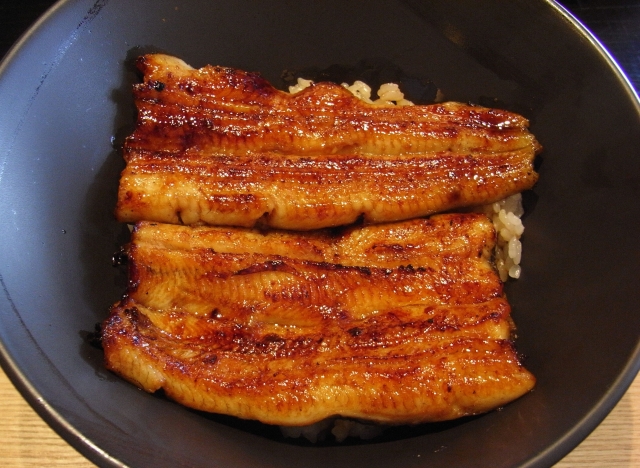 Unagi auf Reis