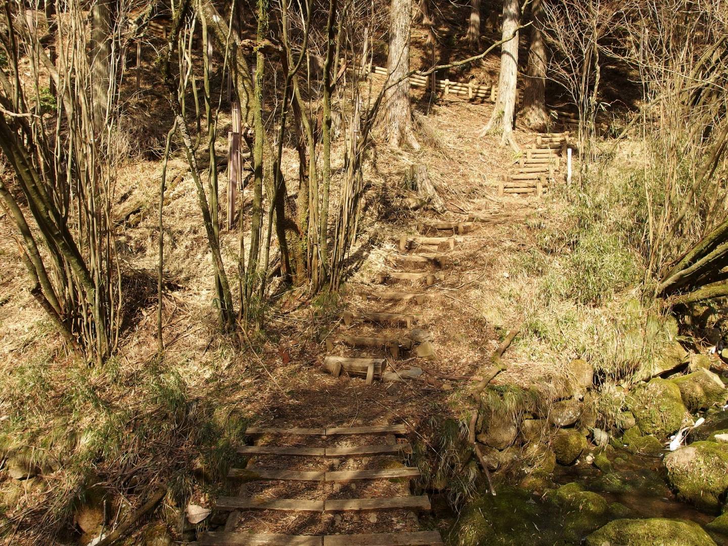 Waldpfad auf einen Berg mit Holzstufen