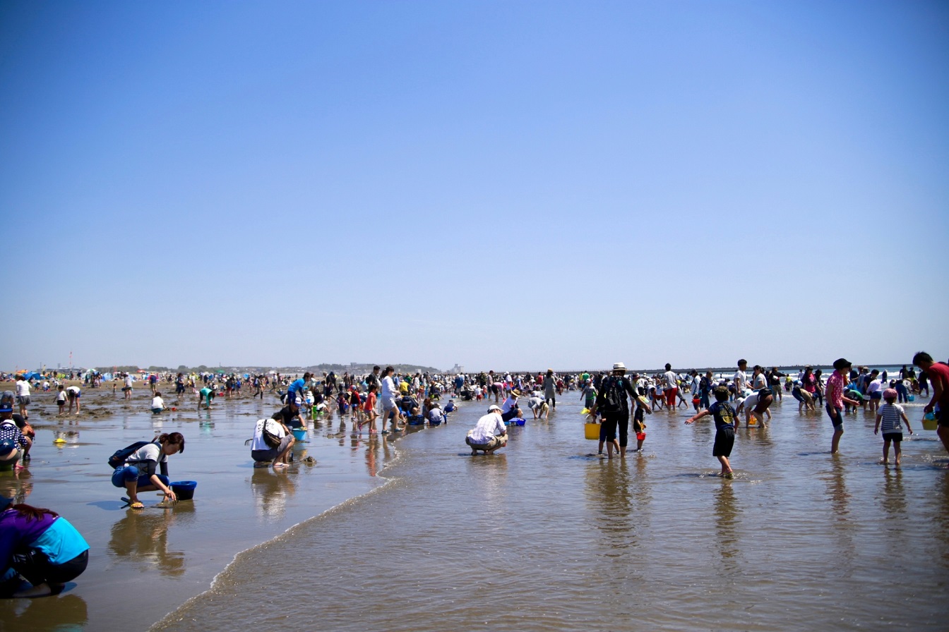 Muschelsuchen am Strand in Japan