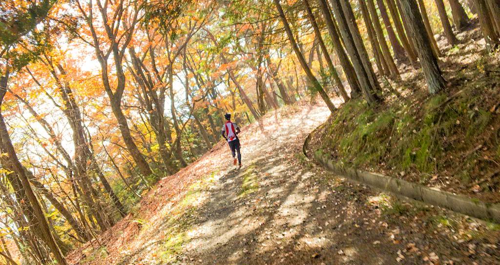 Mann rennt auf einem Pfad durch den Wald