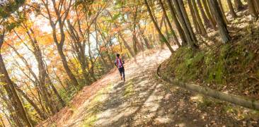 Mann rennt auf einem Pfad durch den Wald