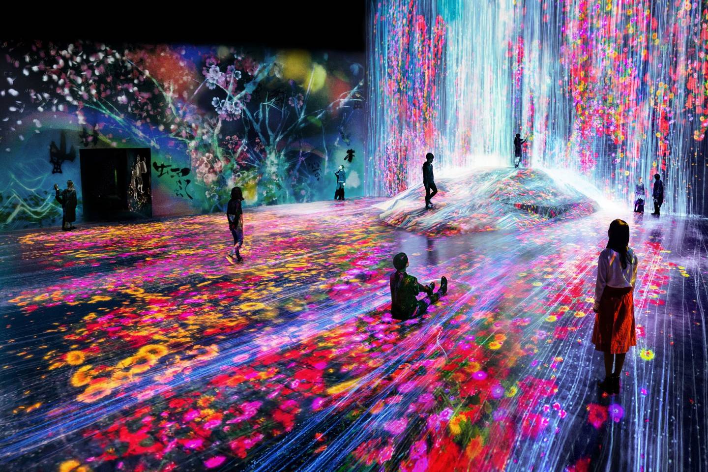 teamLab Borderless: Digital Art Museum Tokyo