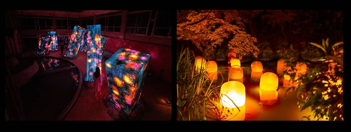 teamLab: A Forest Where The Gods Live