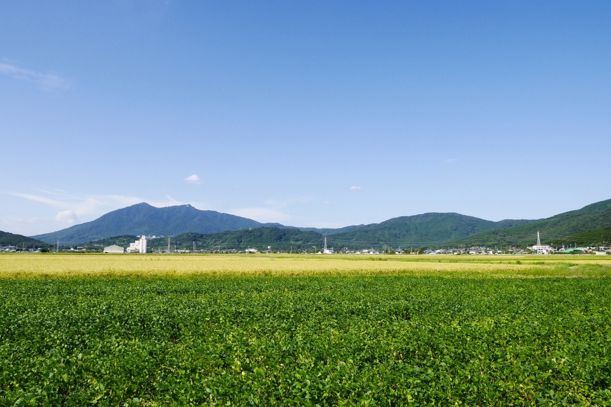 japanische Landschaft mit Hügel