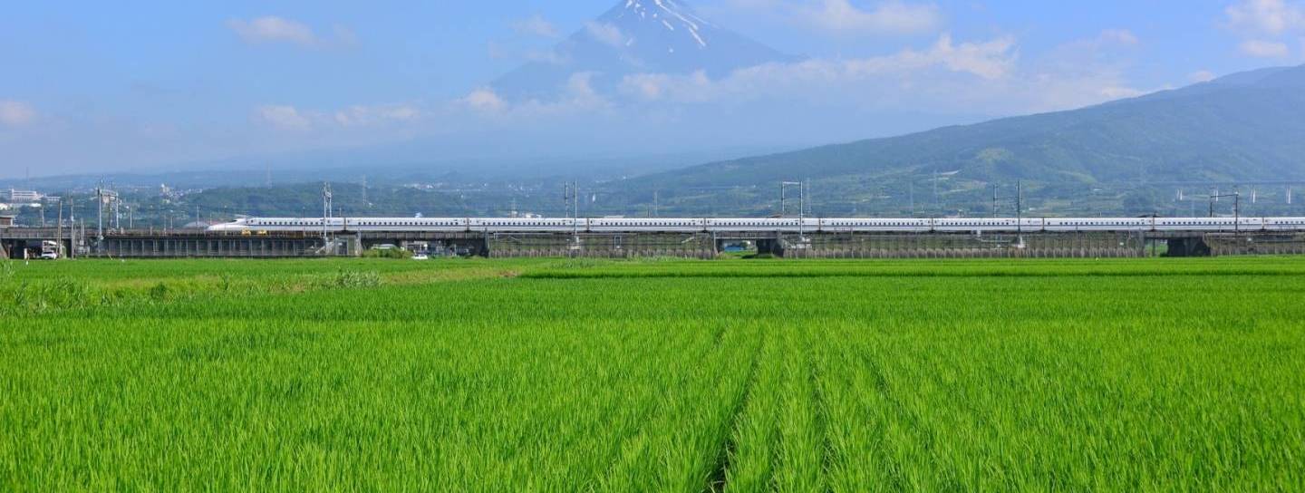 Reisfeld in Japan mit Bergen im Hintergrund