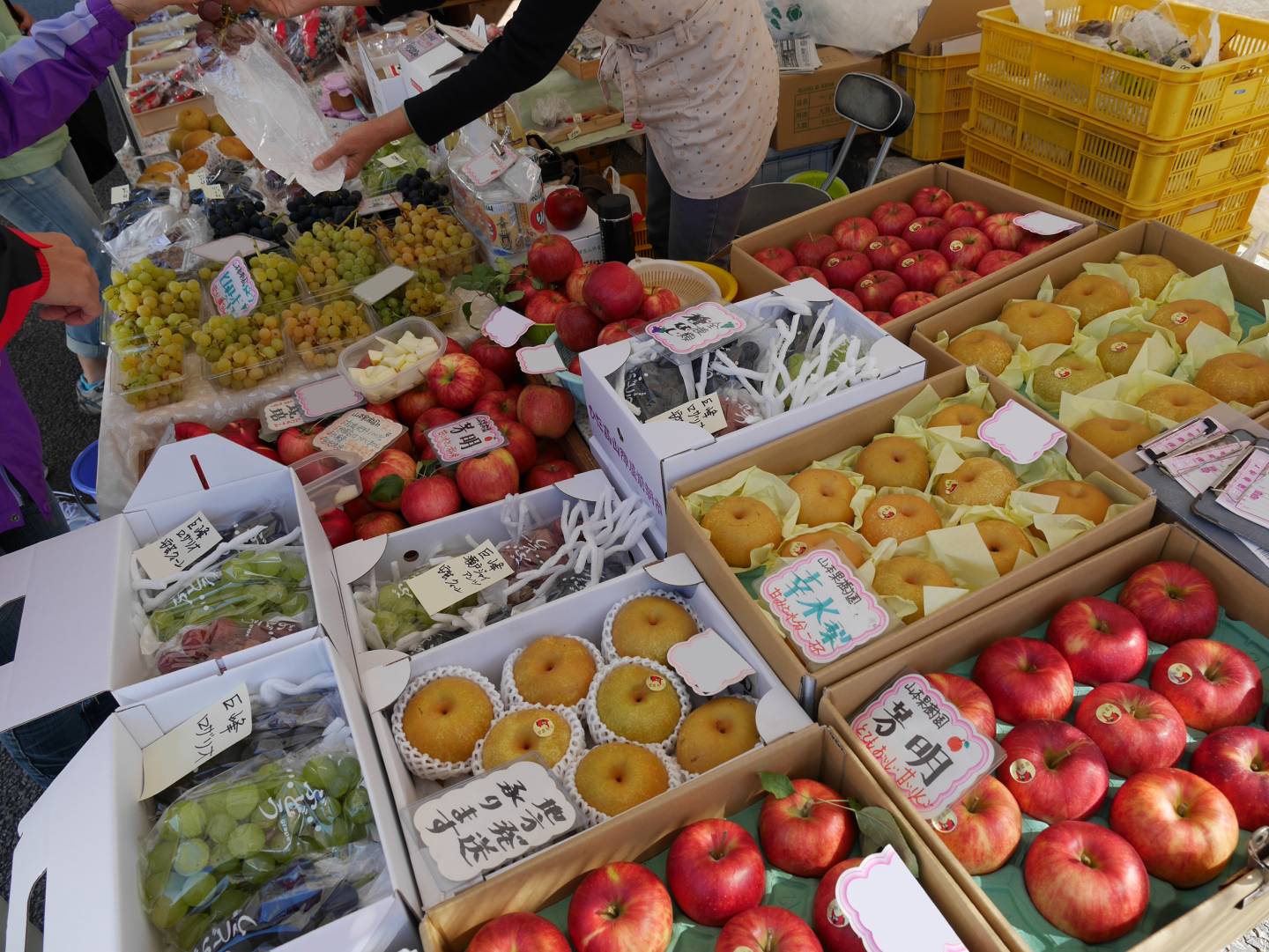 frisches obst auf einem morgenmarkt in takayama