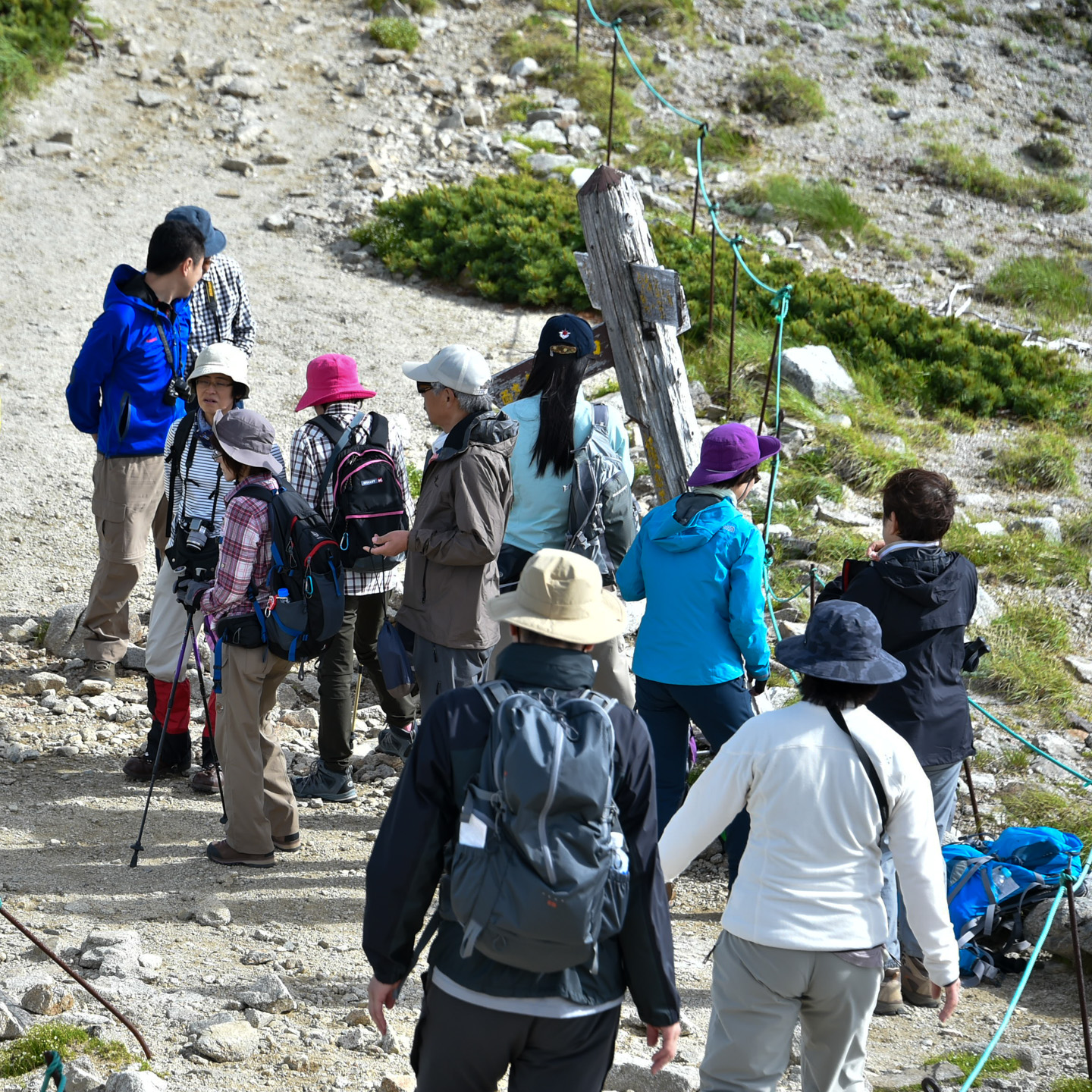 Wandergruppe auf einem Berg