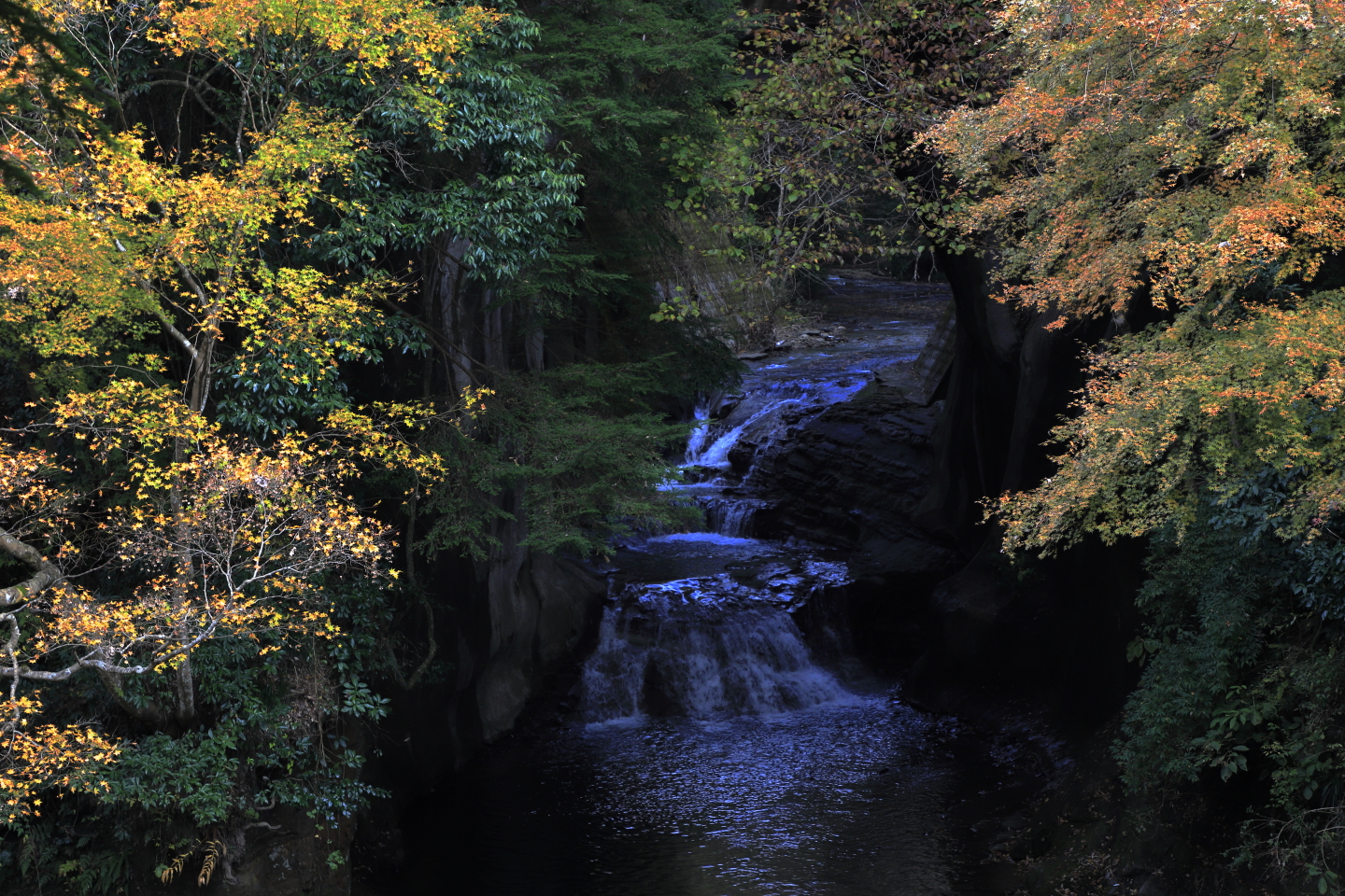 Herbslaub am Nōmizo-Wasserfall