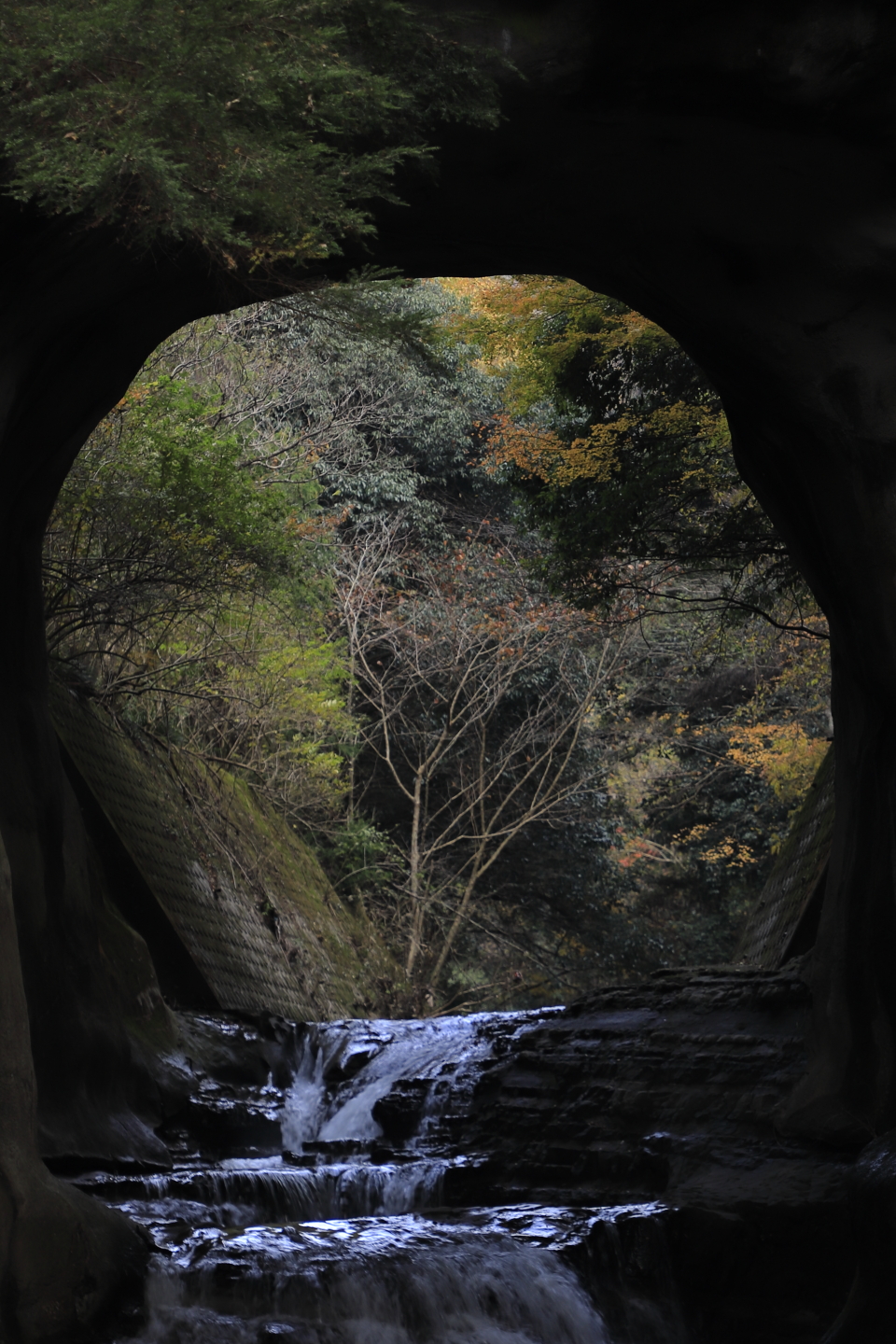 Herbslaub am Nōmizo-Wasserfall