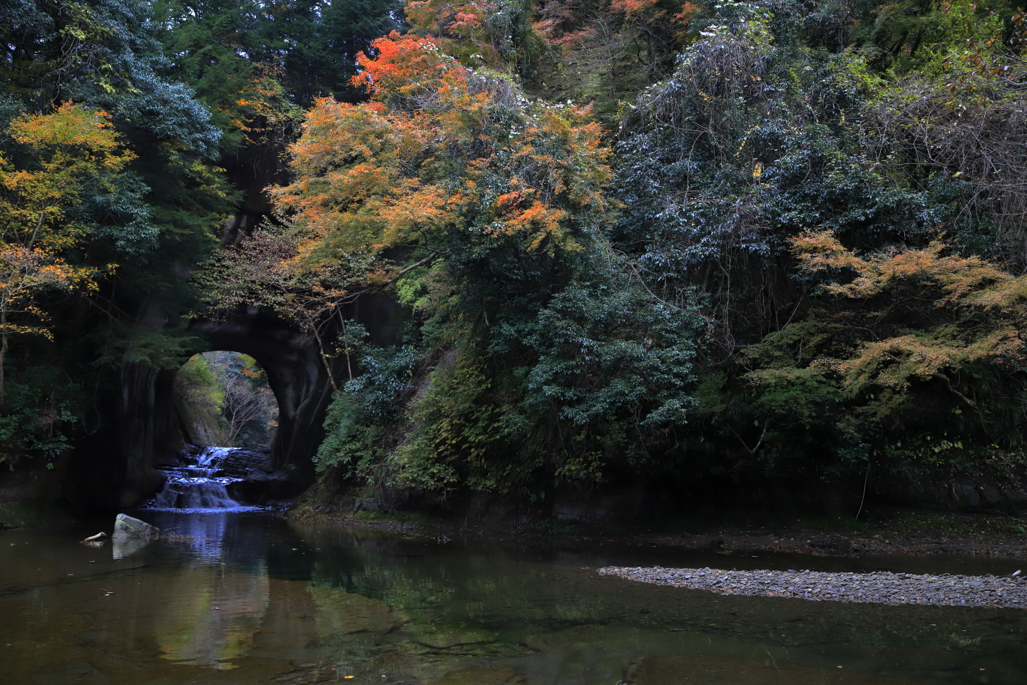 Herbslaub am Nōmizo-Wasserfall