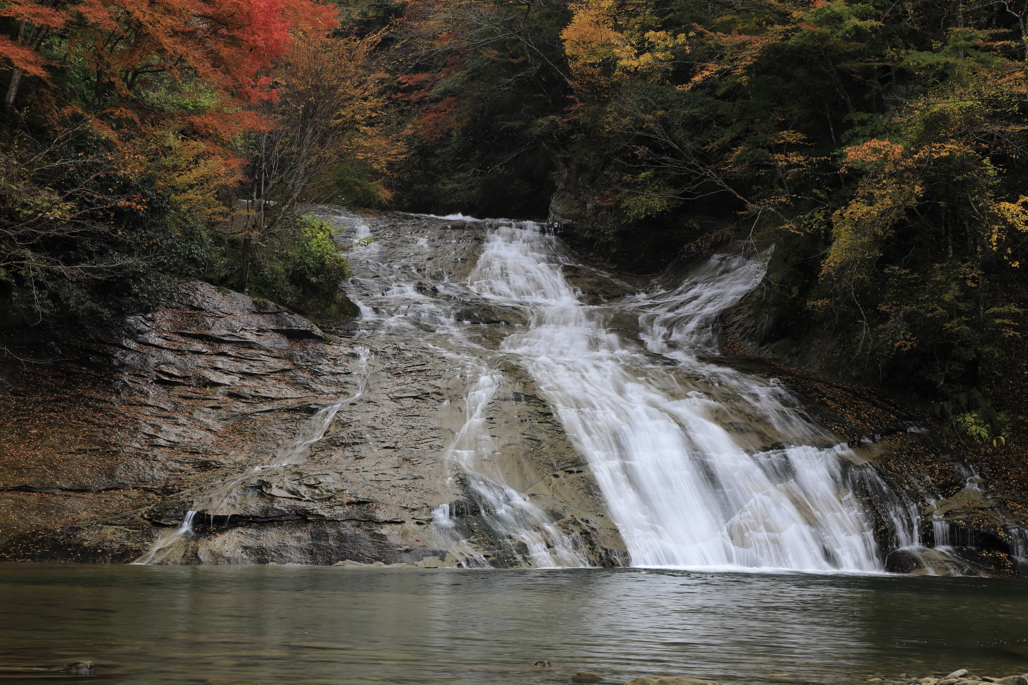 Herbstlaub am Awamata-Wasserfall im Yōrō Keikoku-Park.