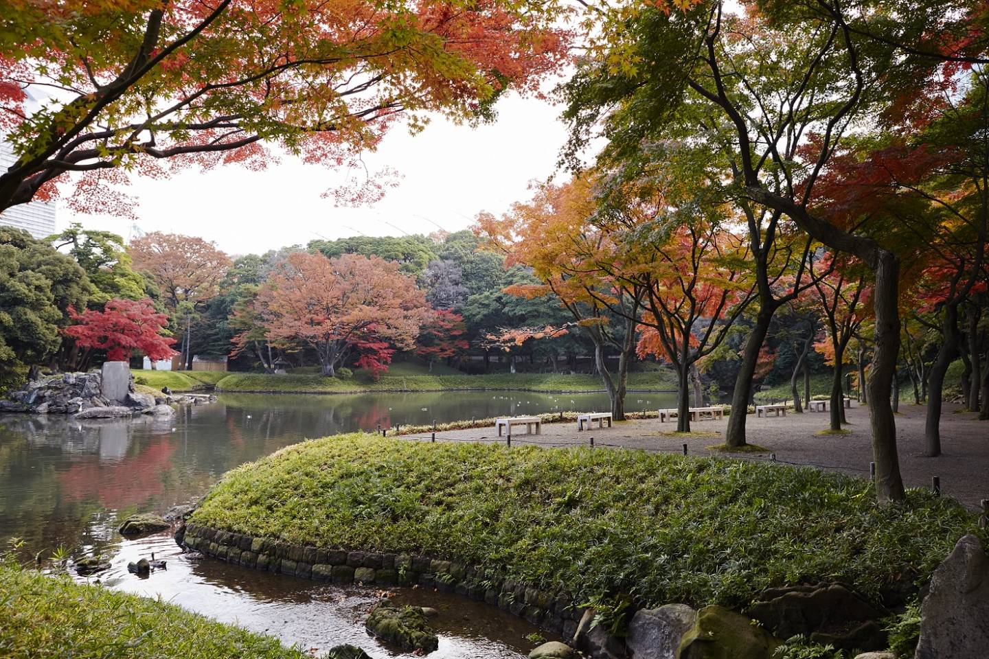 Herbst im Koishikawa Kōrakuen