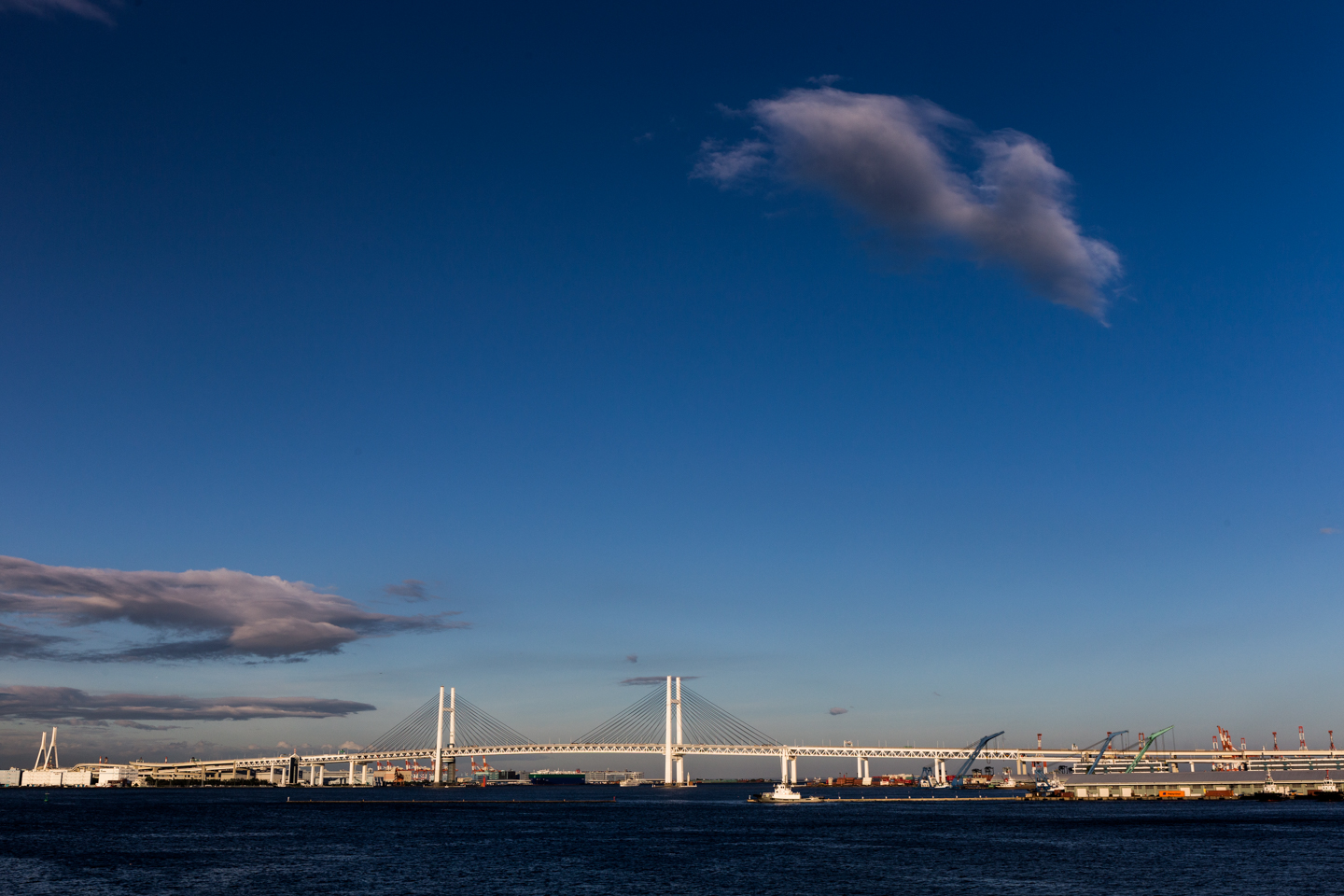 Gate Bridge vom Ōsanbashi-Pier aus.