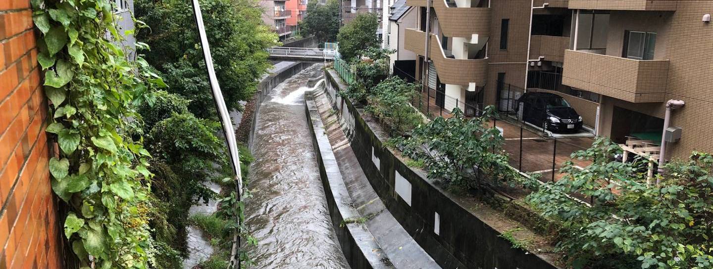 Shibuyagawa bei Hochwasser