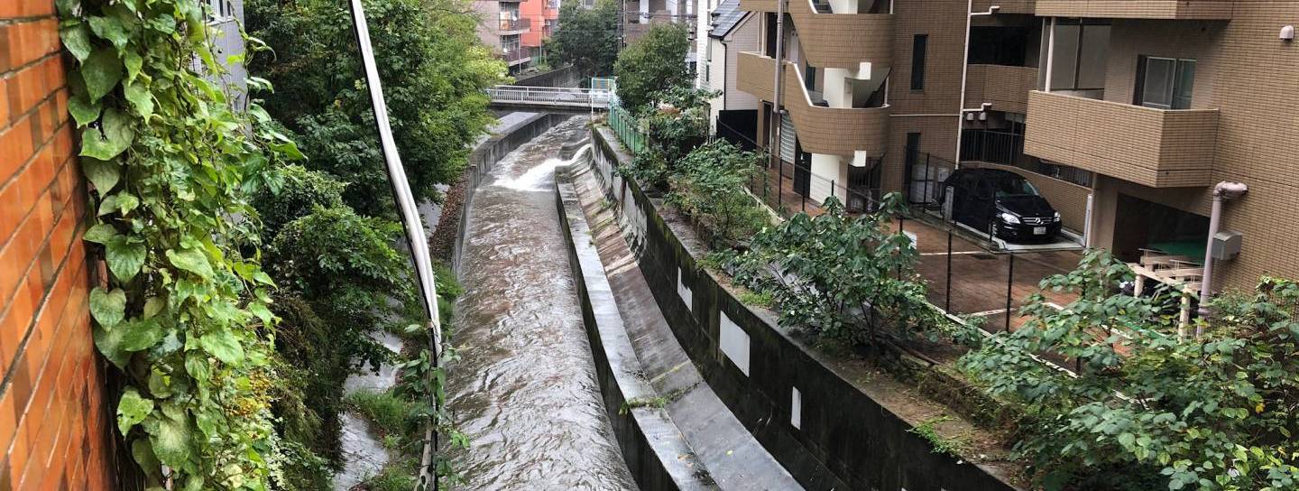 Shibuyagawa bei Hochwasser