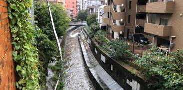 Shibuyagawa bei Hochwasser