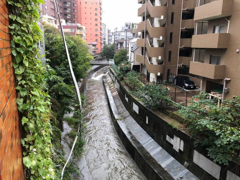 Shibuyagawa bei Hochwasser