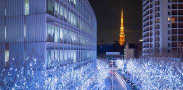 Winterliche Beleuchtung in den Straßen von Tokyo