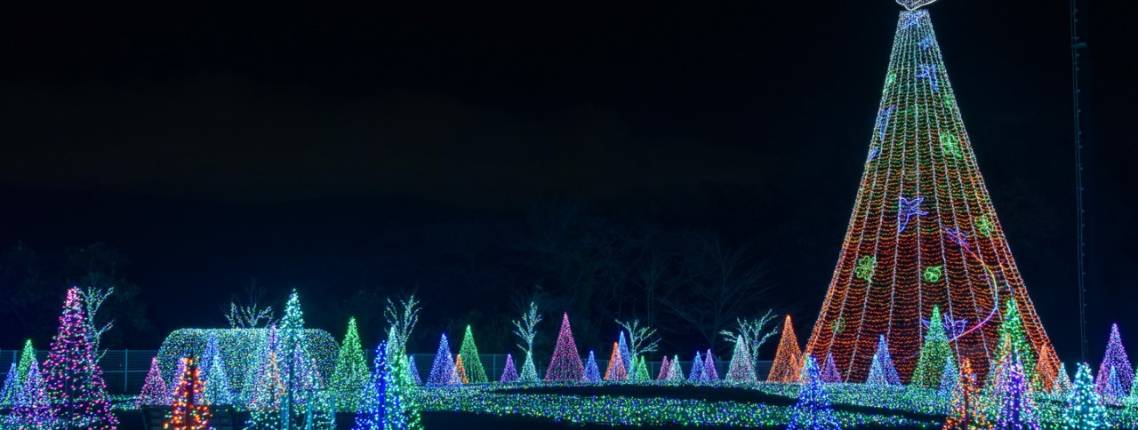 Weihnachtsbeleuchtung im Yomiuri Land bei Nacht