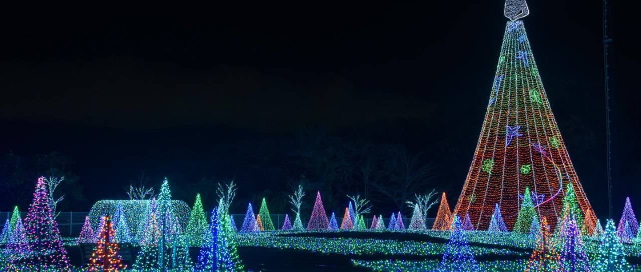 Weihnachtsbeleuchtung im Yomiuri Land bei Nacht