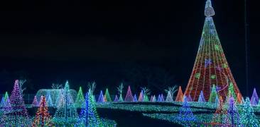 Weihnachtsbeleuchtung im Yomiuri Land bei Nacht