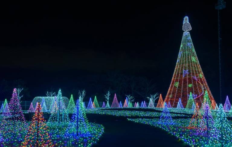 Weihnachtsbeleuchtung im Yomiuri Land bei Nacht