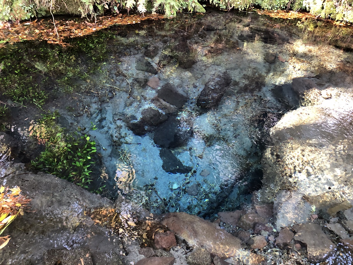 Oike-Quelle am Fuße der Kujū-Berge