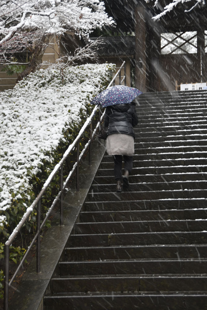 Schnee in Kamakura