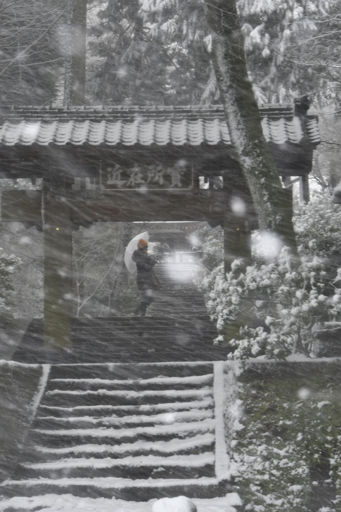 Schnee in Kamakura