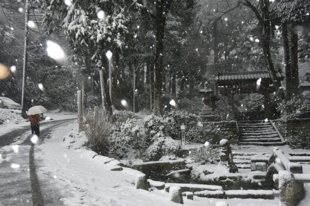 Schnee in Kamakura