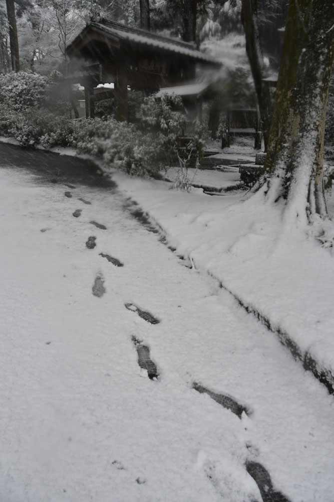 Schnee in Kamakura