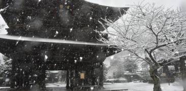 Schnee in Kamakura