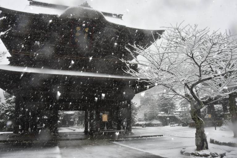 Schnee in Kamakura